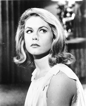 Elizabeth Montgomery Porn Movies - Elizabeth Montgomery :: (April An American film and television actress who  was best known for portraying the suburban housewife.and witch.