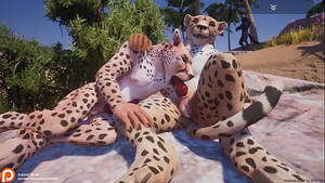 Furry Cheetah Porn - Furry Porn - Gay Cheetahs - Rule 34 Gay