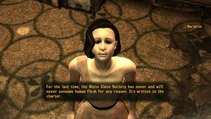 Fallout New Vegas Porn - 