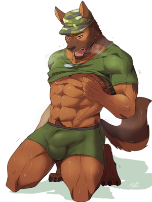 German Shepherd Gay Furry Porn - JAEGER