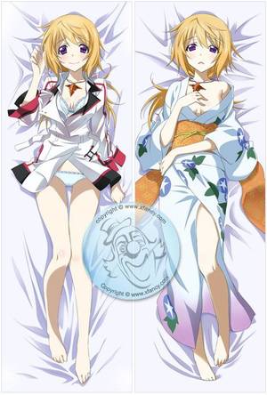 Infinite Stratos Porn Big Boobies - Infinite Stratos Charlotte Dunois Dakimakura