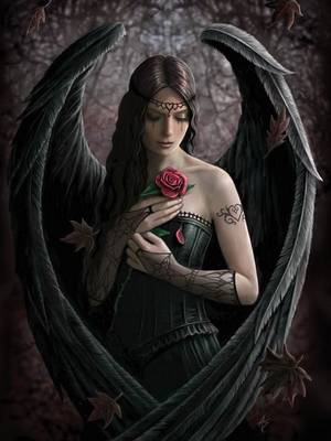 fallen angel wings cartoon porn - Dark Angel With A Rose ~