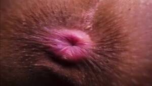 anal hole close up - Free Anal Closeup Porn Videos, page 12 from Thumbzilla