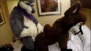 Gay Fursuit Porn - Gay Furry Dreams 24 watch online or download