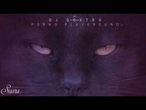 Cute Dj Cats Porn - DJ Dextro - Acid Conductor (Original Mix) [Suara] - YouTube