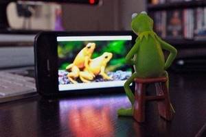 Cute Frog Porn - kermit the frog watching porn on his phone