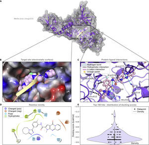 Girlsdoporn E324 - A multi-pronged approach targeting SARS-CoV-2 proteins using ultra-large  virtual screening - ScienceDirect