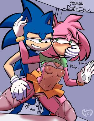 Amy The Hedgehog Porn - Sonic and Amy (me ;p) : r/SonicPorn