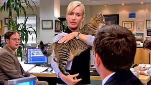 Angela Kinsey Porn - Did Angela know that the cat Andy gave her was Garbage, the feral barn cat?  : r/DunderMifflin