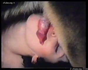 free retro hairy pussy - zoo retro porn - hairy pussy dogging - ZooTube Videos