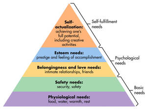 James Maslow Porn - The Importance of Maslow's Pyramid of Needs - The School of Life