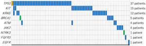 Girlsdoporn E324 - Biomedicines | Free Full-Text | Molecular-Targeted Therapy for  Tumor-Agnostic Mutations in Acute Myeloid Leukemia