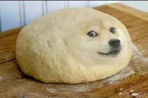 Doge Meme Porn - dough doge Meme Template