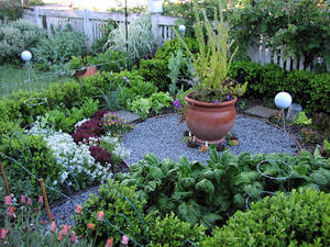 Front Lawn Bbc Porn - Front Yard Herb Garden Layout - Garden Porn: Suburban Front Yard Vegetable  Gardening.