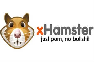 Hamsters Porn Sight - Porn Site Bans North Carolina Users Over Anti-LGBT Law