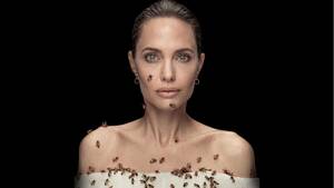 angelina jolie upskirt - La abeja reina: Angelina Jolie se cubre de abejas durante 18 minutos, Â¿por  quÃ©?