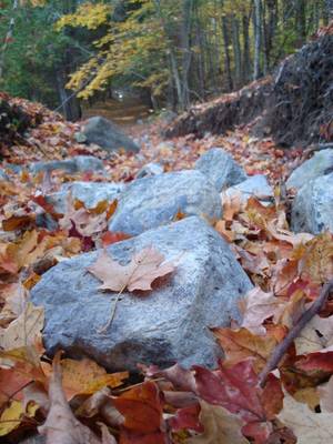 Autumn Homemade Meth - Bang & Jangle Radio Hour, Season 2, Episode 3: Autumn Songs