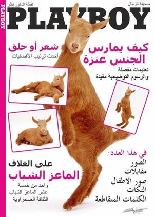 Funny Arab - Arabian porn magazine