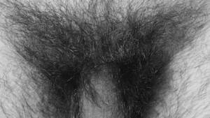 hairy nudist life - Natural Pubic Hair - Natural Pursuits