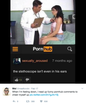 Funniest Porn - 22 Times Pornhub Comments Were Unexpectedly Wonderful