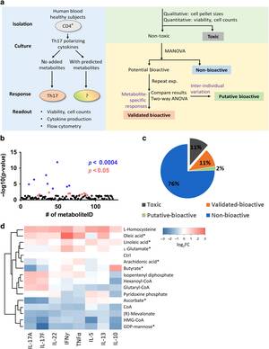 Girlsdoporn E324 - A screen of Crohn's disease-associated microbial metabolites identifies  ascorbate as a novel metabolic inhibitor of activated human T cells |  Mucosal Immunology