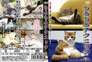 Japanese Cat Porn - Japanese Cat porn