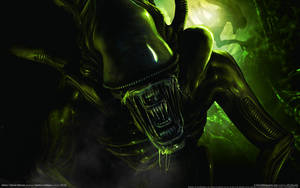 Alien Colonial Marines Porn Comics - Aliens colonial marines porn xxx - Albert brown wallpaper aliens colonial  marines jpg 1920x1200