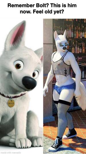 Disney Bolt Gay Porn - Boltâš¡ï¸IRL : r/furry_irl