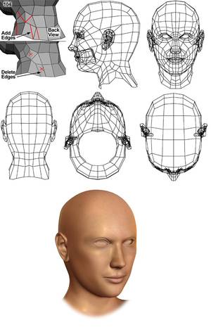 Chin Poo 3d Ru Porn - Modeling a Head