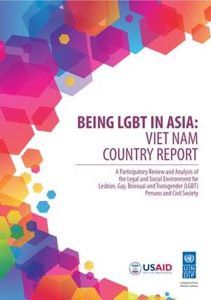 Asian Lesbian Forced Anal - Being LGBT in Asia: Viet Nam Country Report by UNDP in Asia and the Pacific  - Issuu