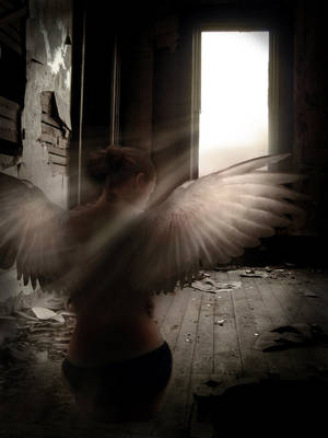 fallen angel wings cartoon porn - Dark Emotions on When-Darkness-comes - DeviantArt. Fallen Angel WingsFallen  ...