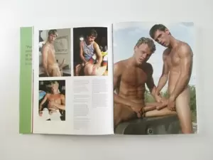 Andy Warhol Porn - PORN FROM ANDY WARHOL TO X-TUBE - KEVIN CLARKE - BRUNO GMUNDER - GAY PORN  PORNO | eBay