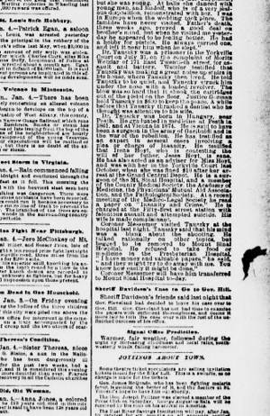 fogbank toons - The sun. (New York [N.Y.]) 1833-1916, January 05, 1885, Image 1 Â«  Chronicling America Â« Library of Congress