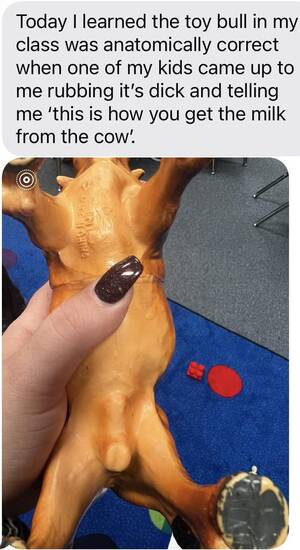 Anatomically Correct Porn Cow - Courtesy of my teacher wife : r/KidsAreFuckingStupid