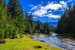 Colorado River Porn - Blue River at Pebble Creek Ranch in Silverthorne Colorado