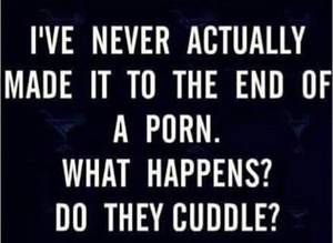 Funny Porn Questions - Sex Quotes, Adult Humor, It's Funny, Happy Hour, Life Lessons, Humor,  Jokes, Laughter