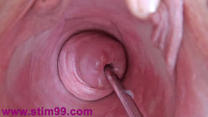 Beautiful Cervix Porn - Female cervix insertion with sex toy porn object