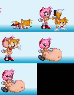 Amy Rose Porn Sprites - swfchan: amy rosebelly breasts caninefox half done miles prower no sound  nude overweight sally acorn sega sonic (series) sprite unknown artist  vorarephilia ...