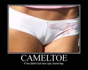 Cameltoe Porn Captions - Memes for Men pt.10