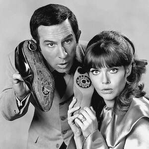 Barbara Feldon Nude - Get Smart Agent 99 - Etsy