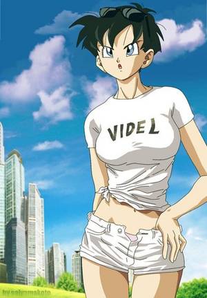 dragon ball z videl sex - Dragon Ball Females wallpaper entitled Sexy Videl