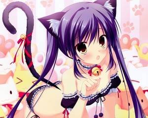 Cute Neko Sexy Maid Porn - Cute neko girl c: