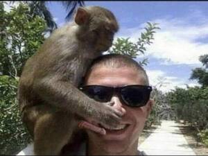 Monkey Sex Oral - Solider becomes first human to acquire HIV after having sex(oral) with  monkey - 1980 : r/fakehistoryporn