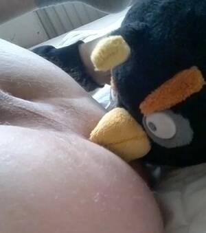 Angry Birds Furry Porn Gay - Angry Birds Furry Porn Gay | Sex Pictures Pass