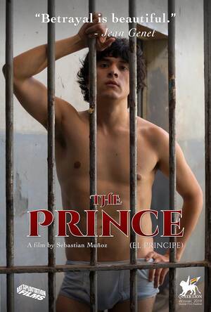 Gay Forced Anal Porn - The Prince (2019) - IMDb