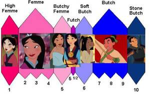 Mulan Disney Princess Lesbian Porn - Do you fall anywhere on the Mulan scale? : r/actuallesbians