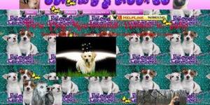 geocities nudist - Dream of the '90s is alive with Websites From Hell