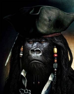 Gay Gorilla Porn - It reads as a satire on horror novels/films and gay porn. The gorilla  pirate ghosts have a boat named \