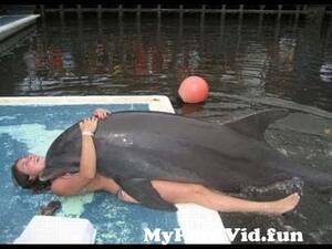 Girls Having Sex With Dolphins - AMAZING DOLPHINS - FUNNY DOLPHINS COMPILATION from girls having sex with  dolphins Watch Video - MyPornVid.fun