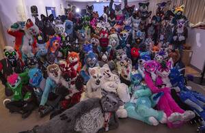 Group Furry Porn - Furry fandom - Wikipedia